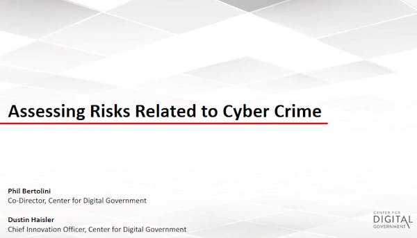 Assessing Risks Related to Cyber Crime