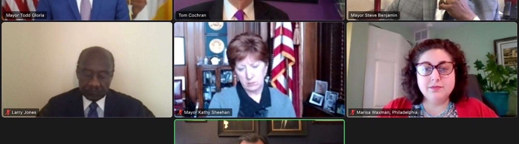 Screenshot of Virtual Meeting