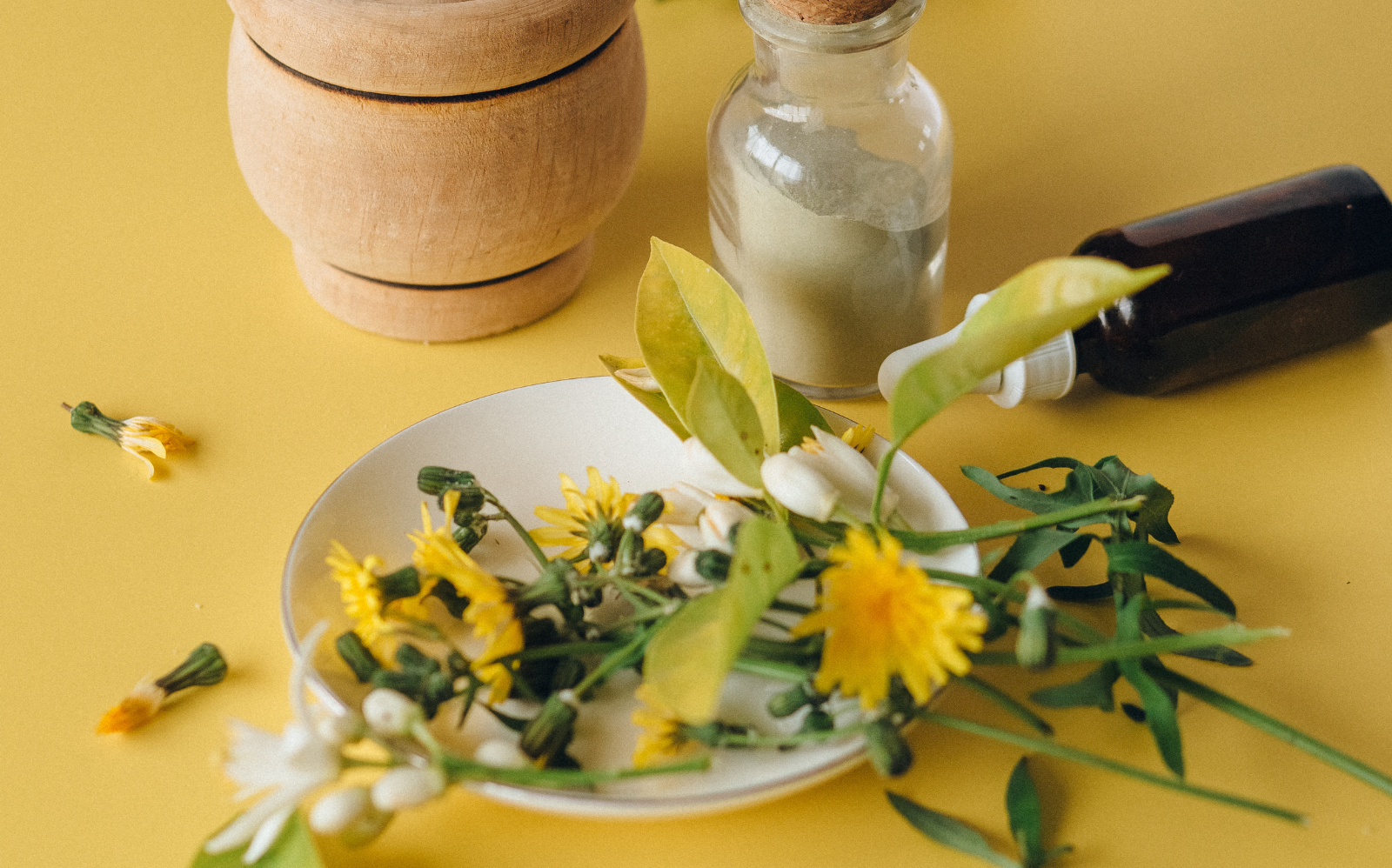 phytothérapie, l'allié