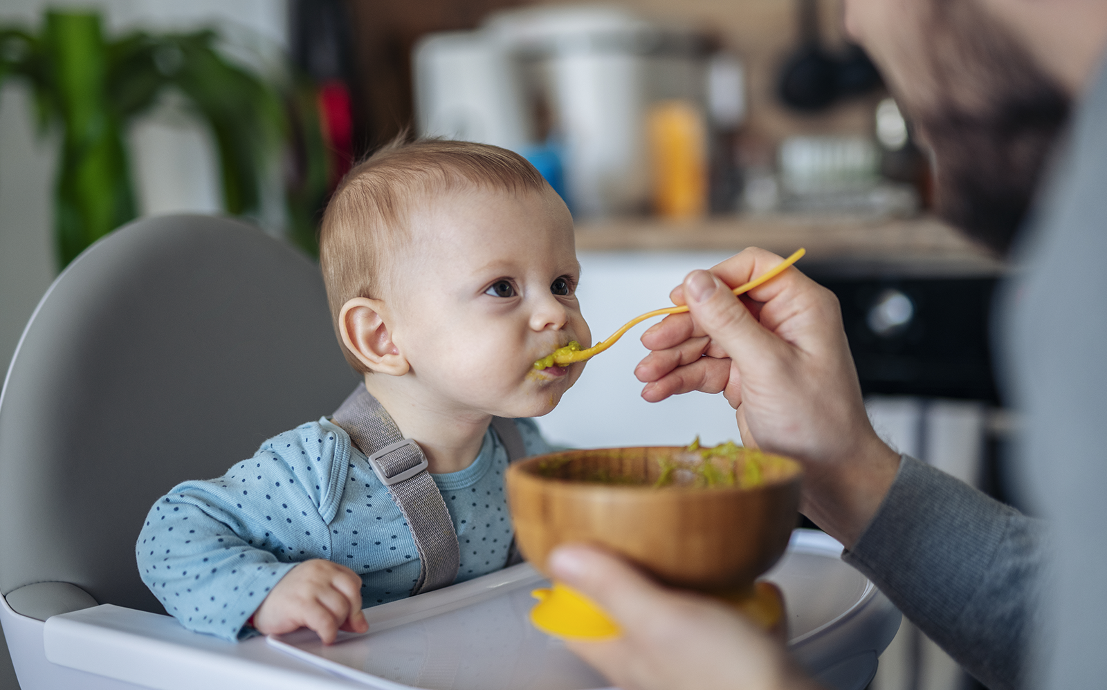 la diversification alimentaire de bébé