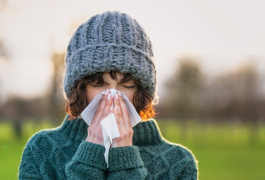 virus hiver