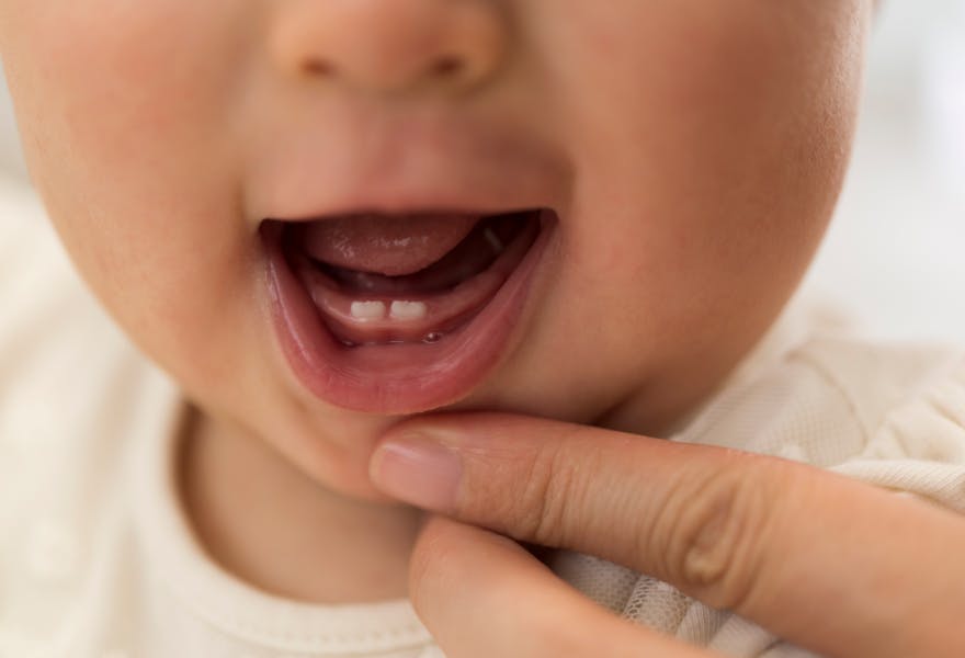dents bébé
