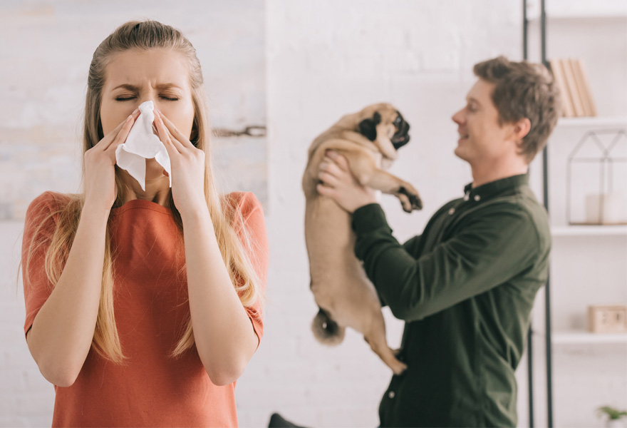 éternuments poils allergie aux animaux