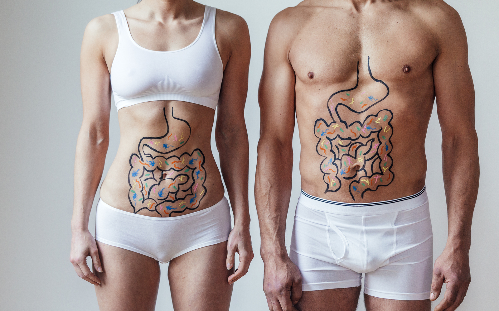 fonctionnement digestion des aliments