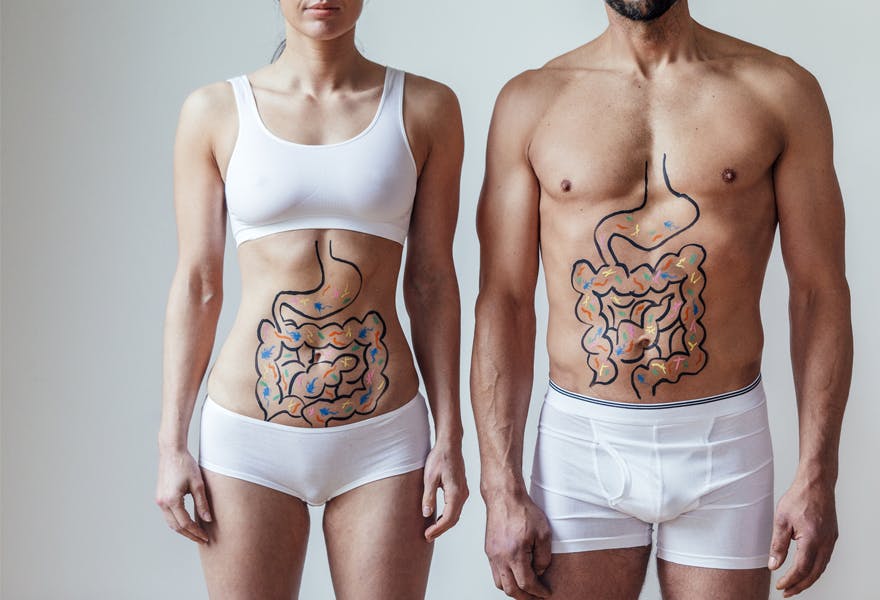 fonctionnement digestion des aliments