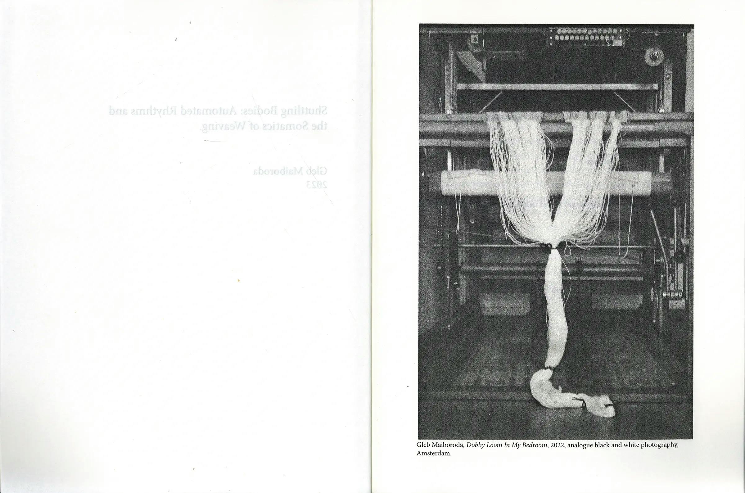 Publication image 1
