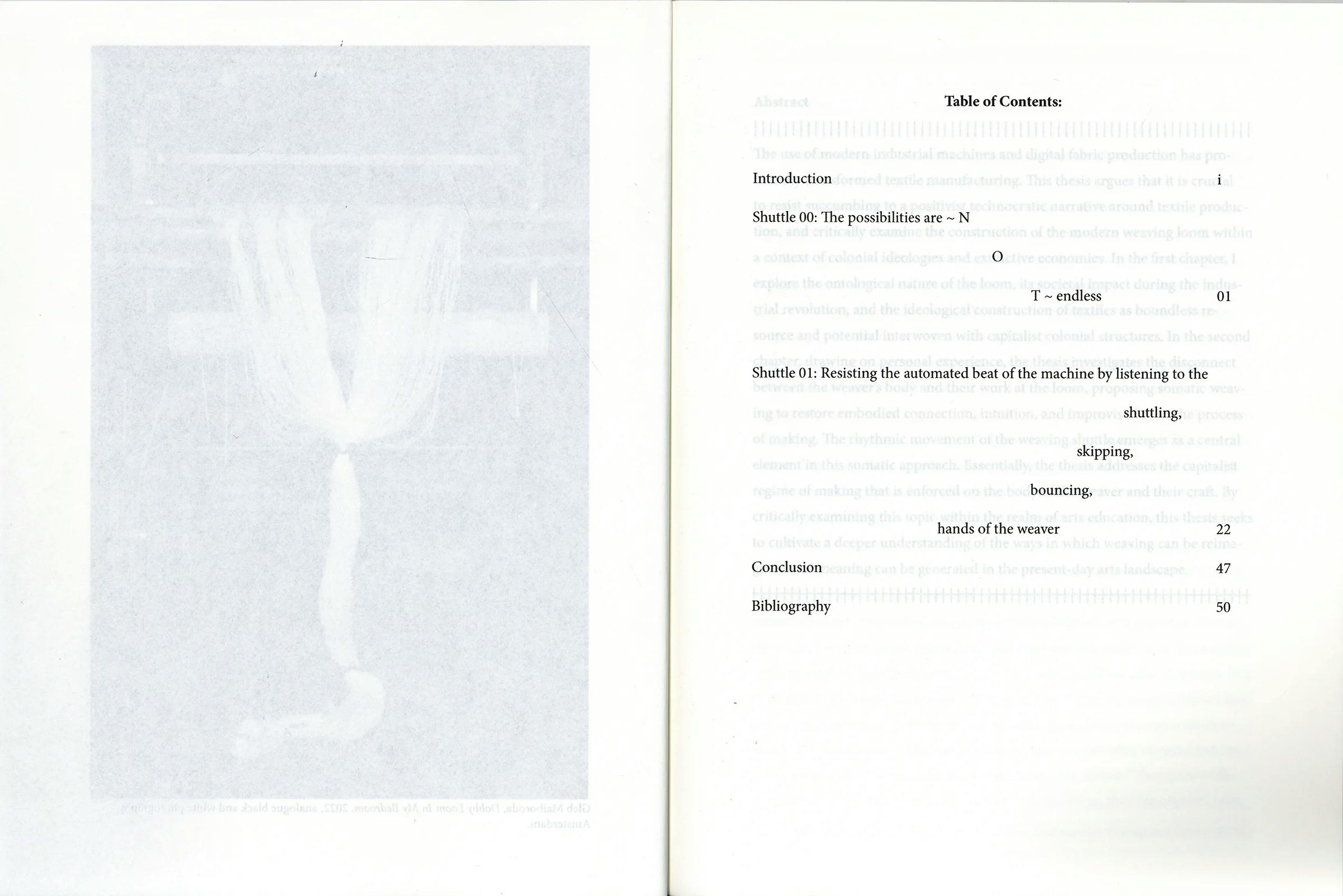 Publication image 2