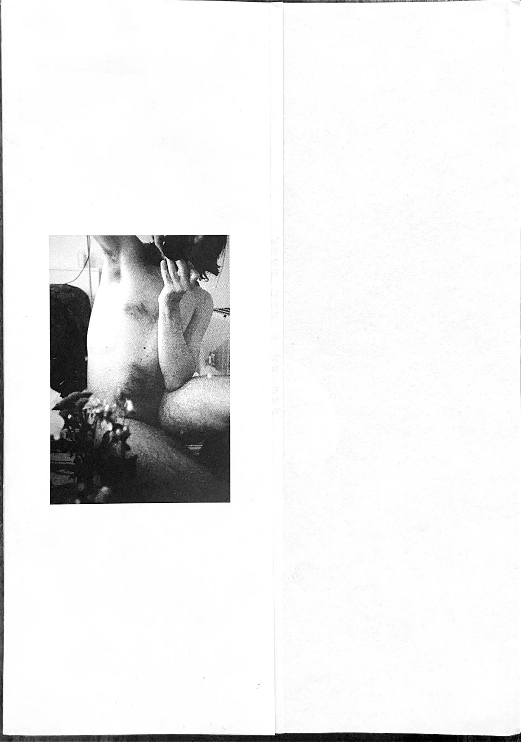 Publication image 1