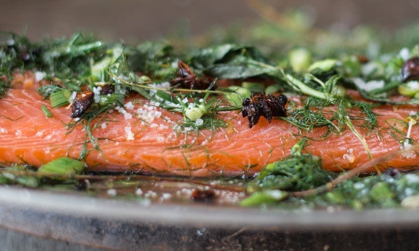 Gravadlax