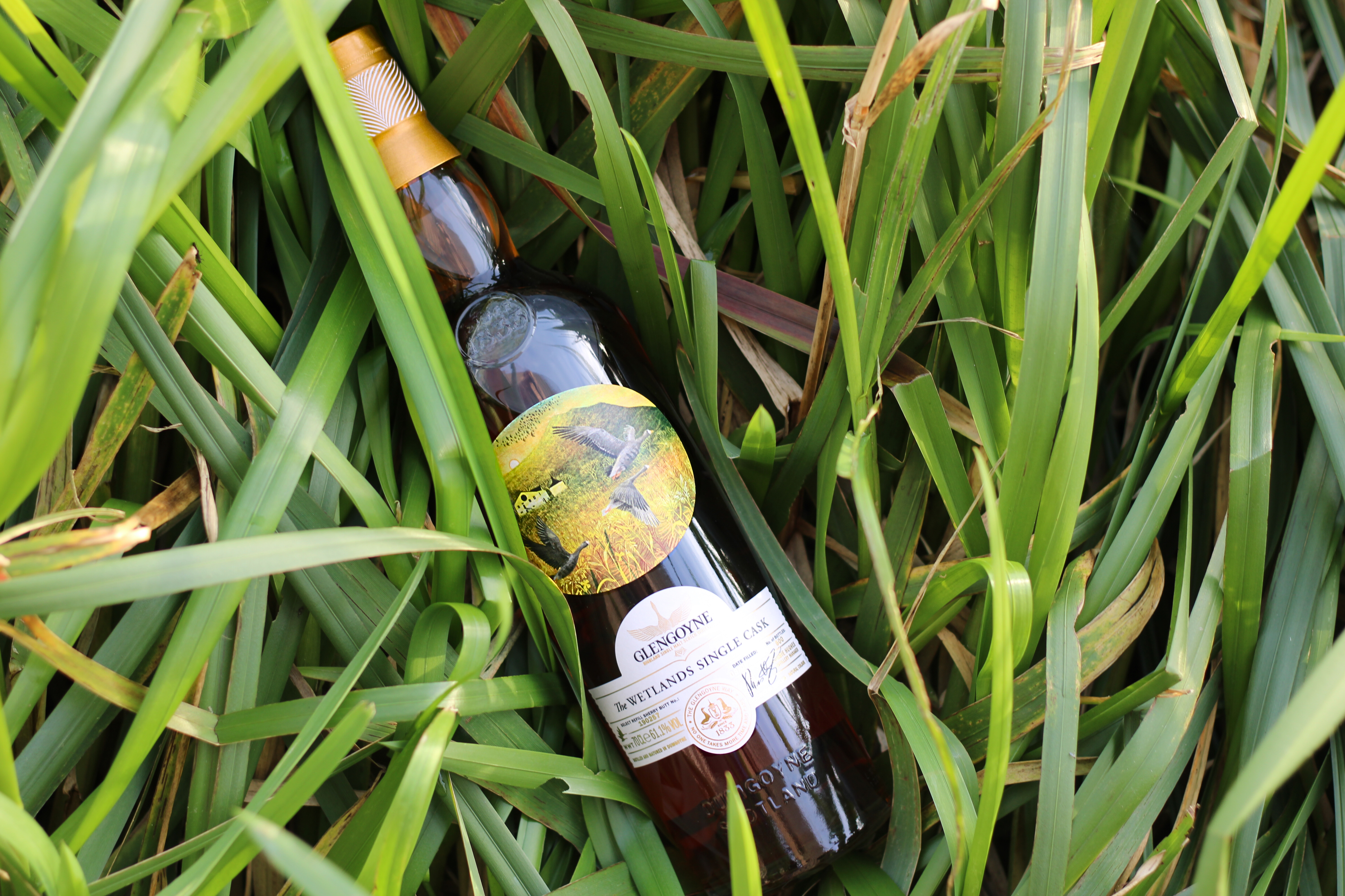 The Glengoyne Wetlands Single Cask Release launches in aid of charity