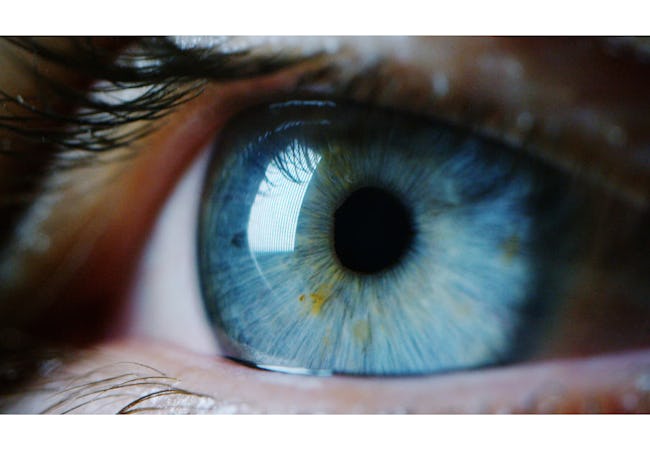 Value Through the Client’s Eyes