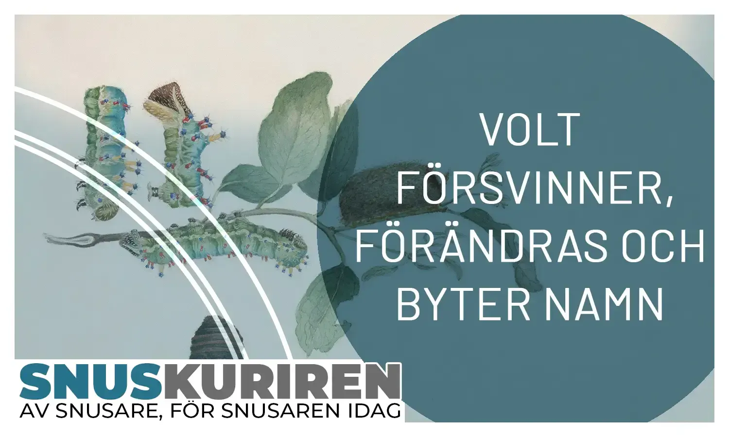 Volt snus försvinner, förändras och byter namn
