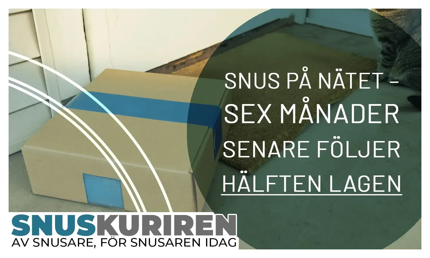 Snus på nätet – sex månader senare följer hälften lagen