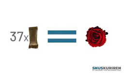 37 snus väger lika mycket som en ros