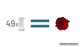 49 vita snus väger lika mycket som en ros