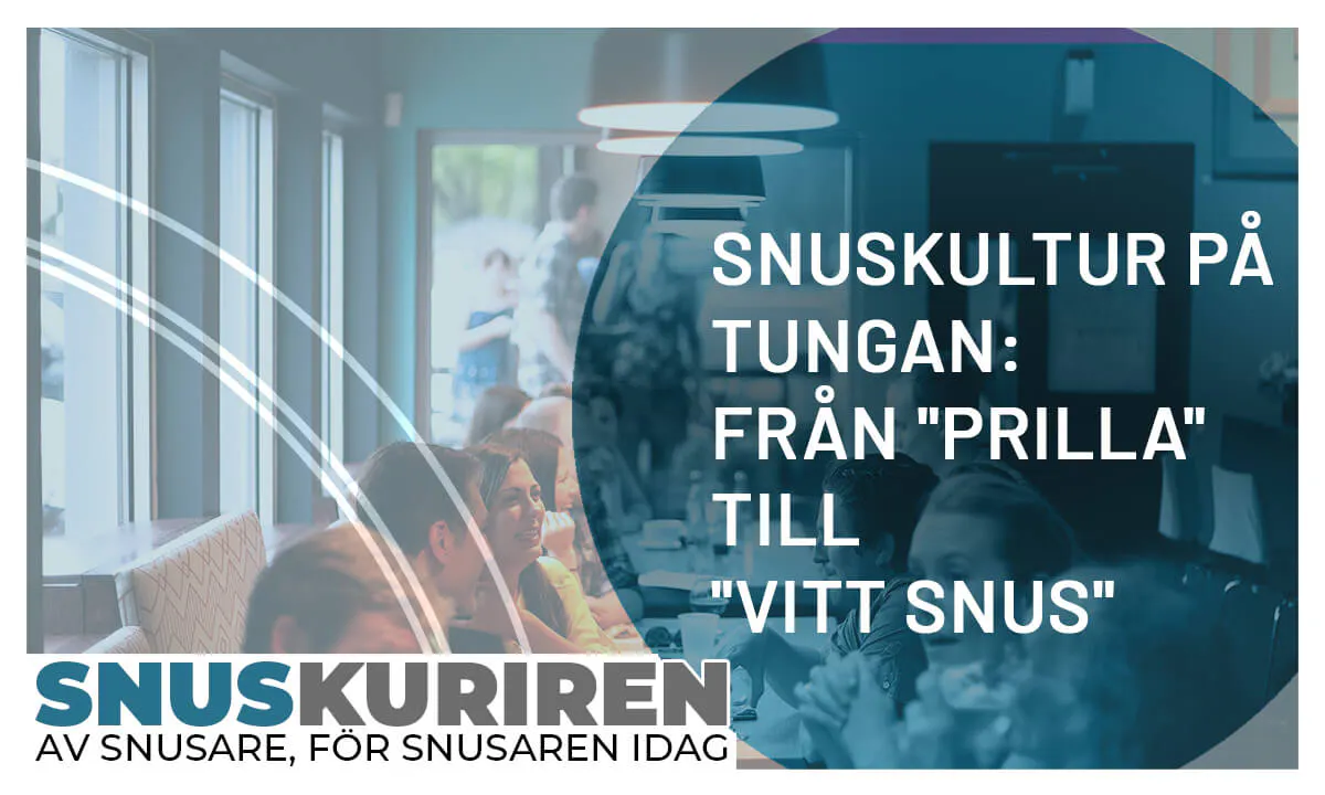 Snuskultur på tungan: Från "prilla" till "vitt snus"