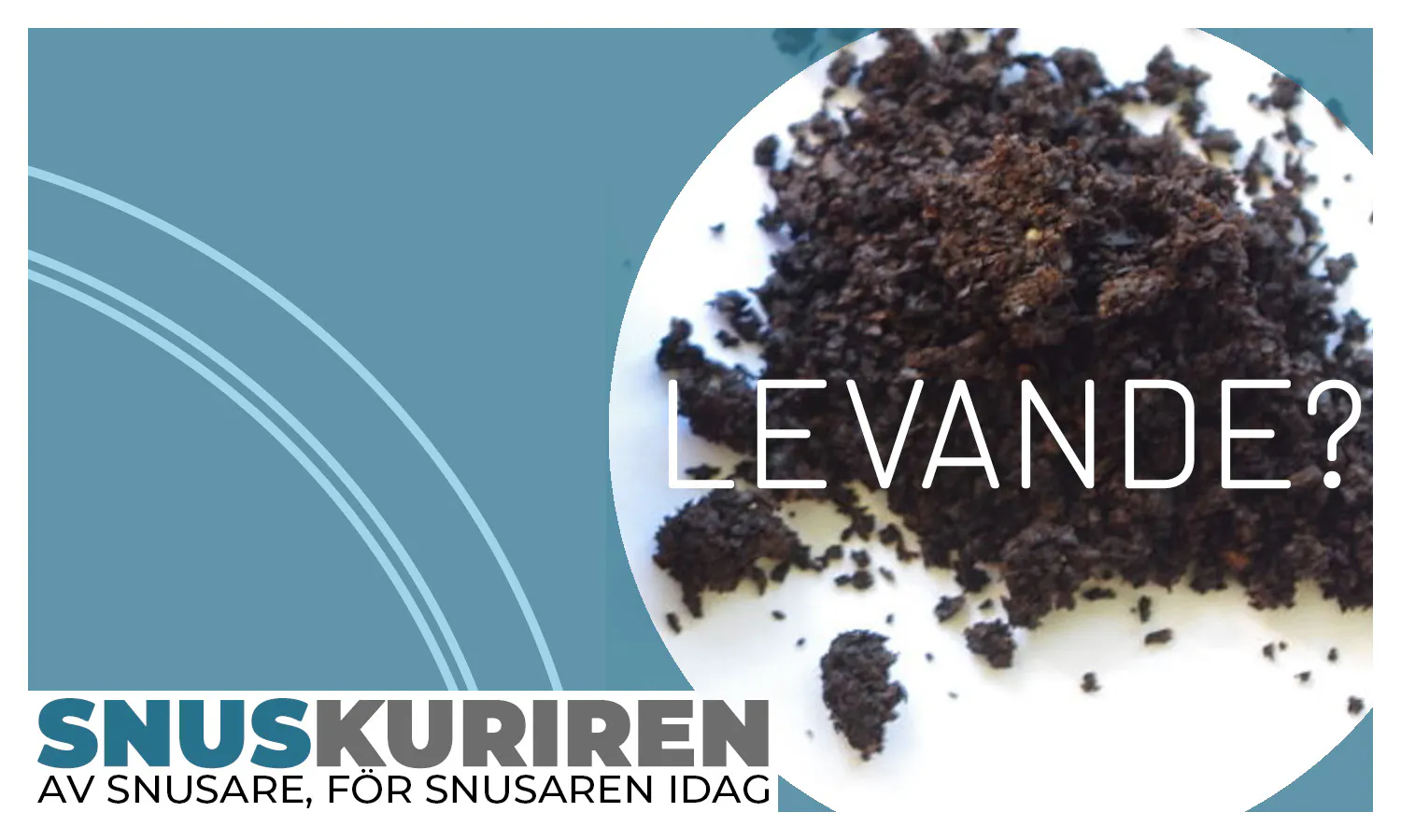 Redaktionens djupdykning i Google-data avslöjar de senaste trenderna och vanorna gällande det svenska lössnuset.