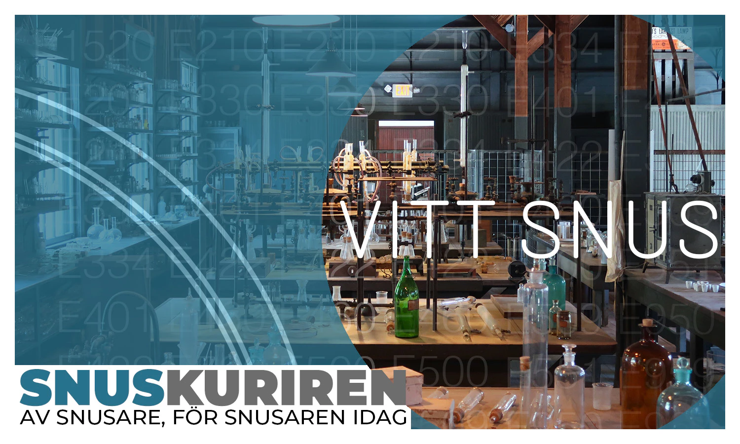 Vitt Snus Racks Vad innehåller vitt snus, egentligen? | Snuskuriren