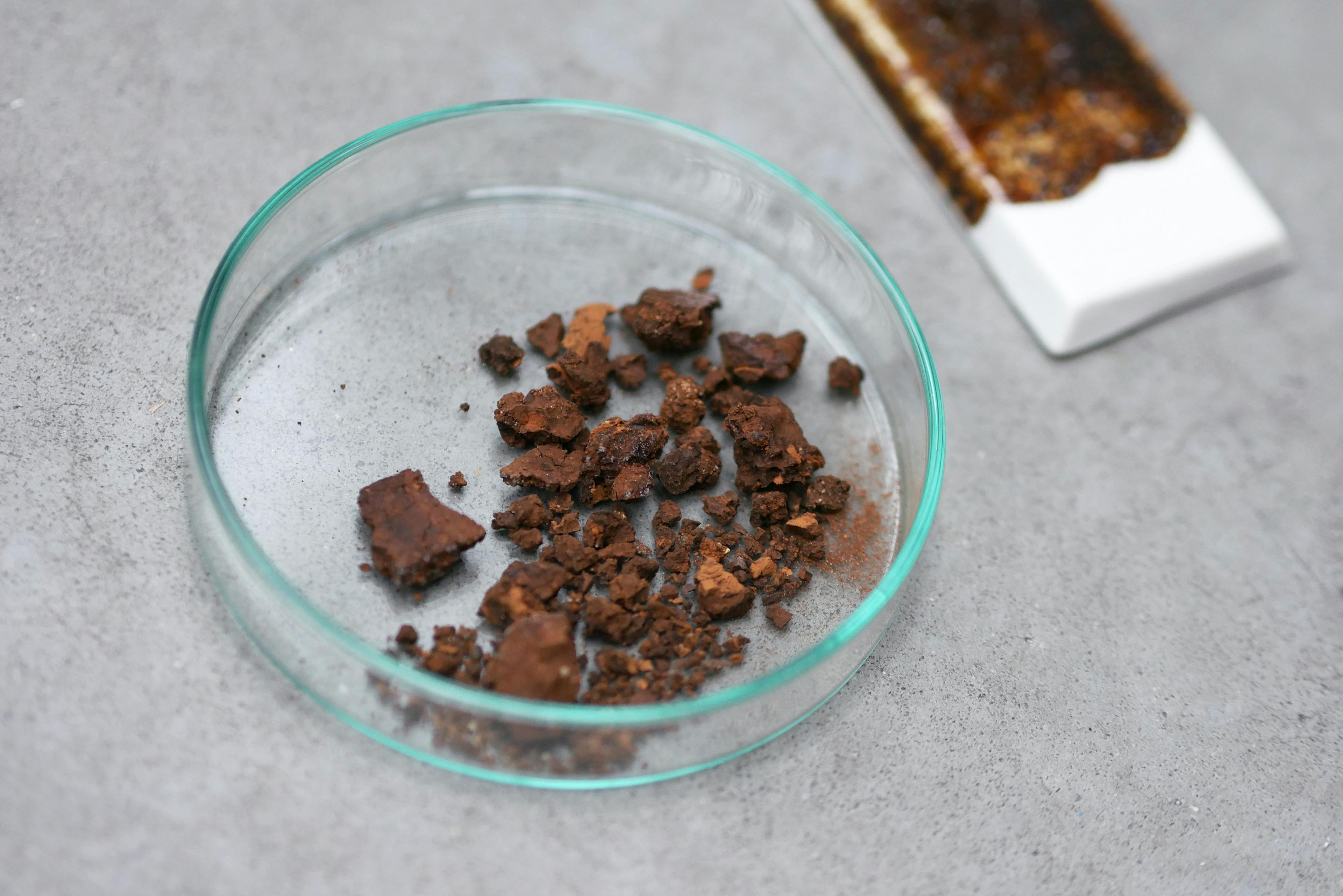 An image showing a glass petry dish with dark brown chunks of a material. 