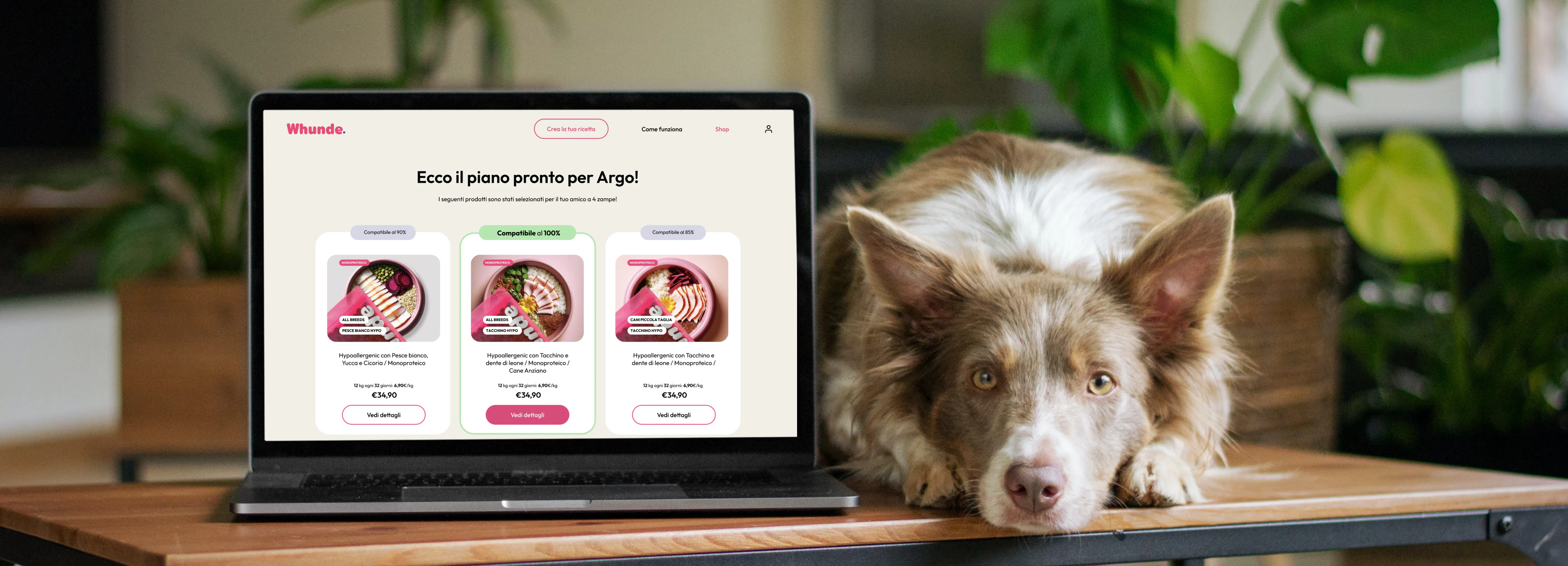 Project Rivoluzionare il settore del pet tech
