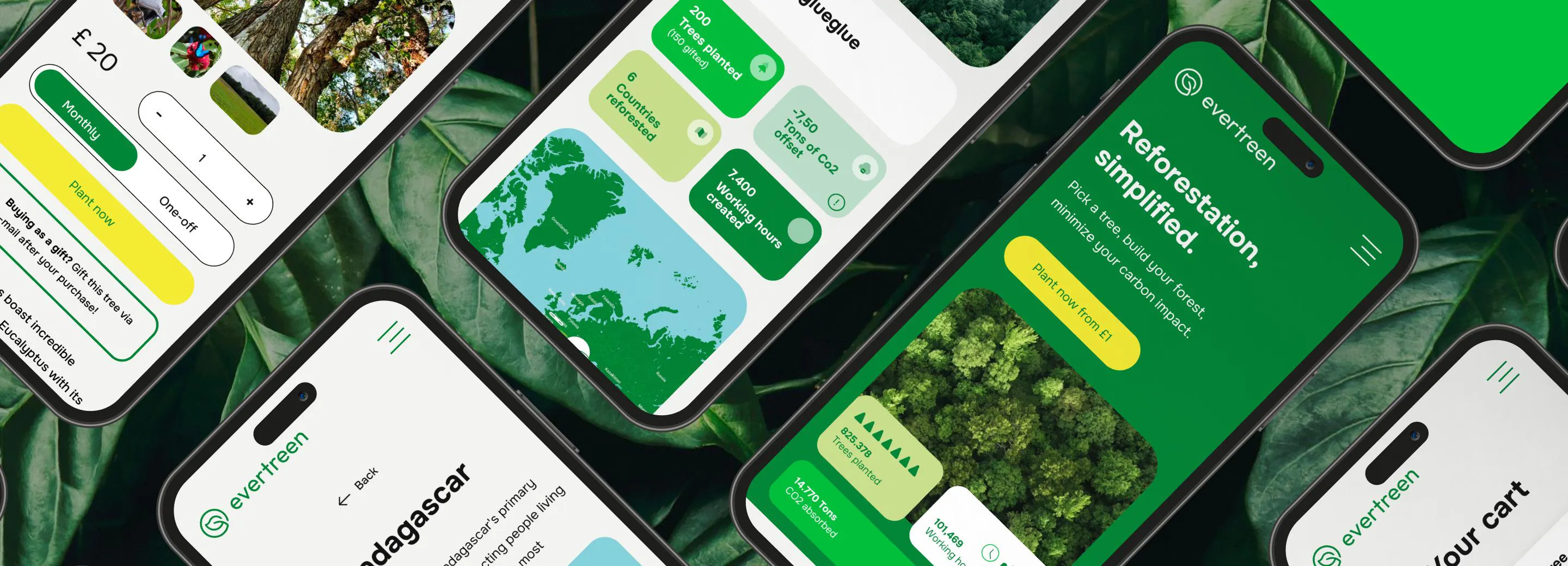 Project La riforestazione resa semplice