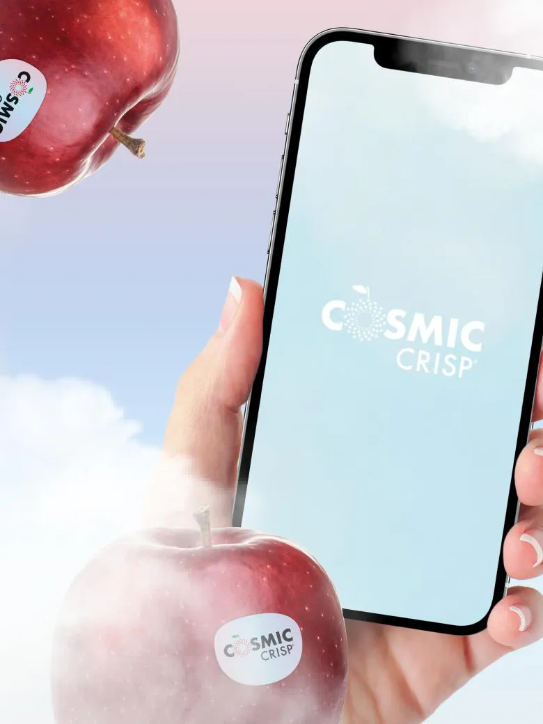 Project Un esperienza digital per un brand "cosmico"