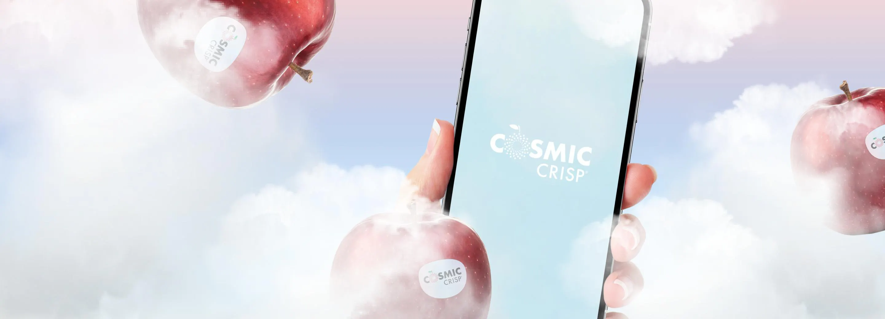 Project Un esperienza digital per un brand "cosmico"