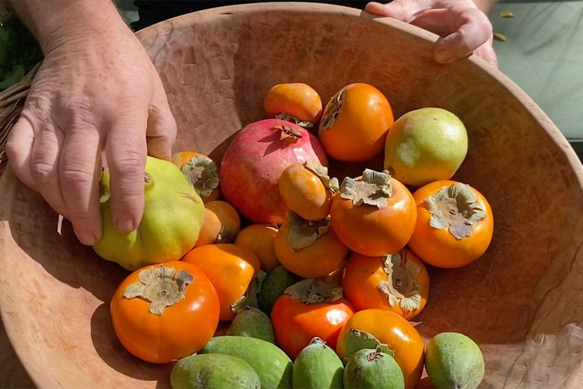 A wooden bowl of fruit, with a hand picking one piece of fruit up