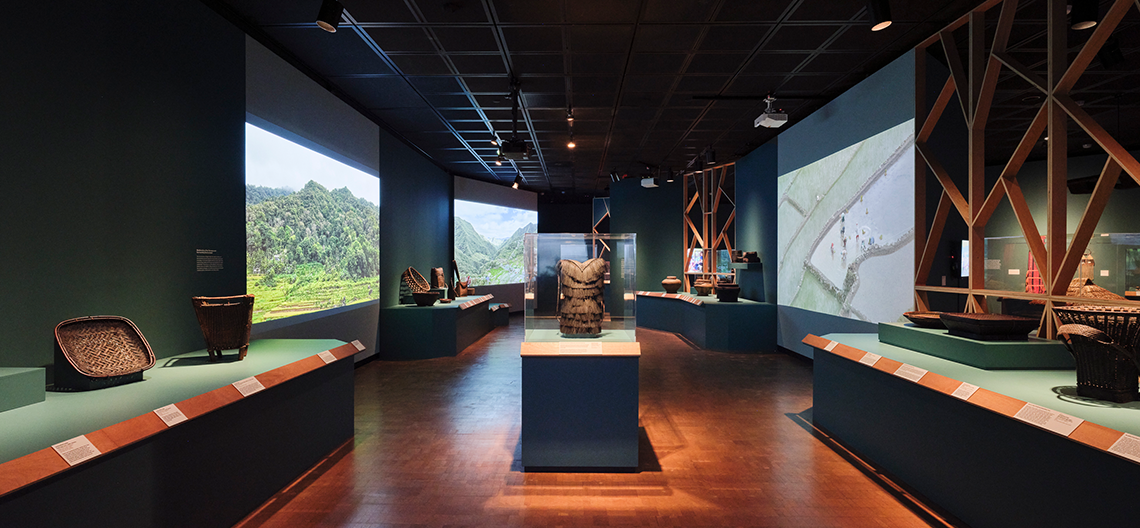 Image of fowler museum gallery with videos and objects against a green wall