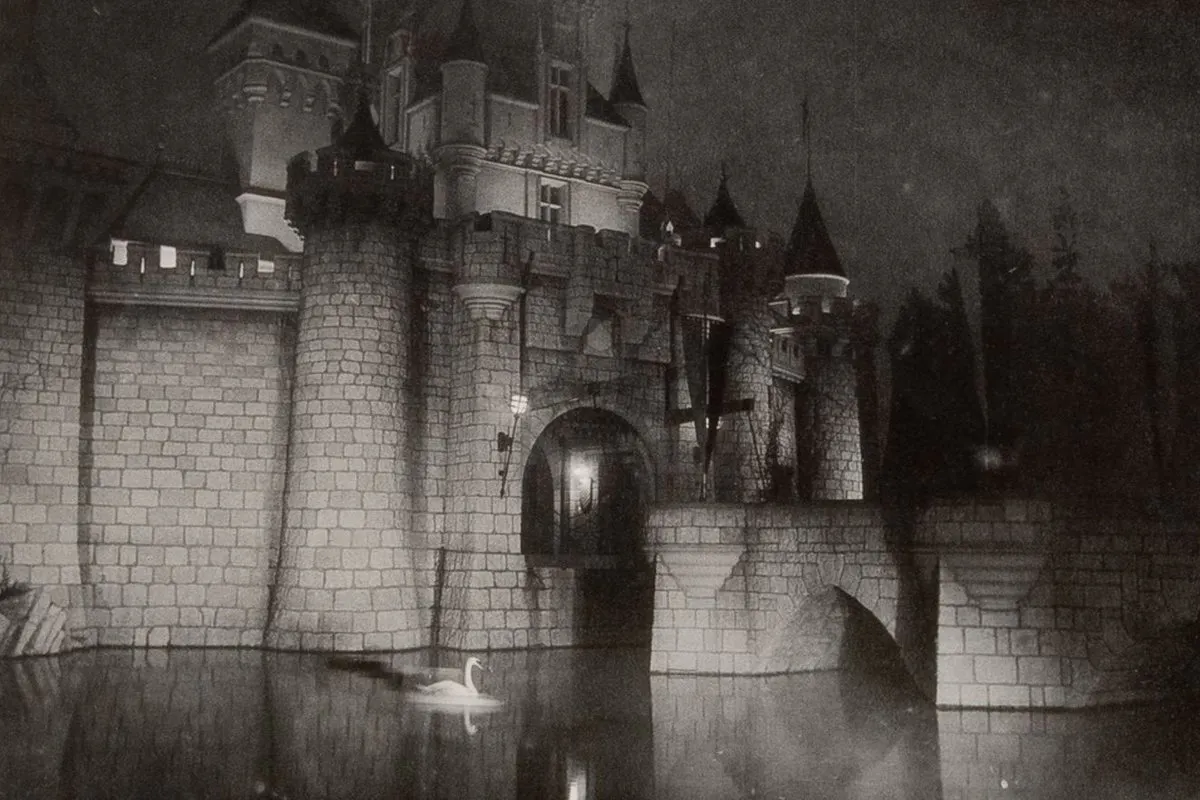 Fuzzy black and white photo of a grand castle