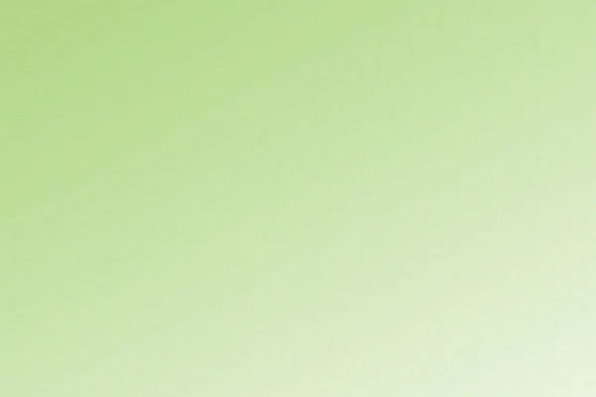 Solid green graphic, no text