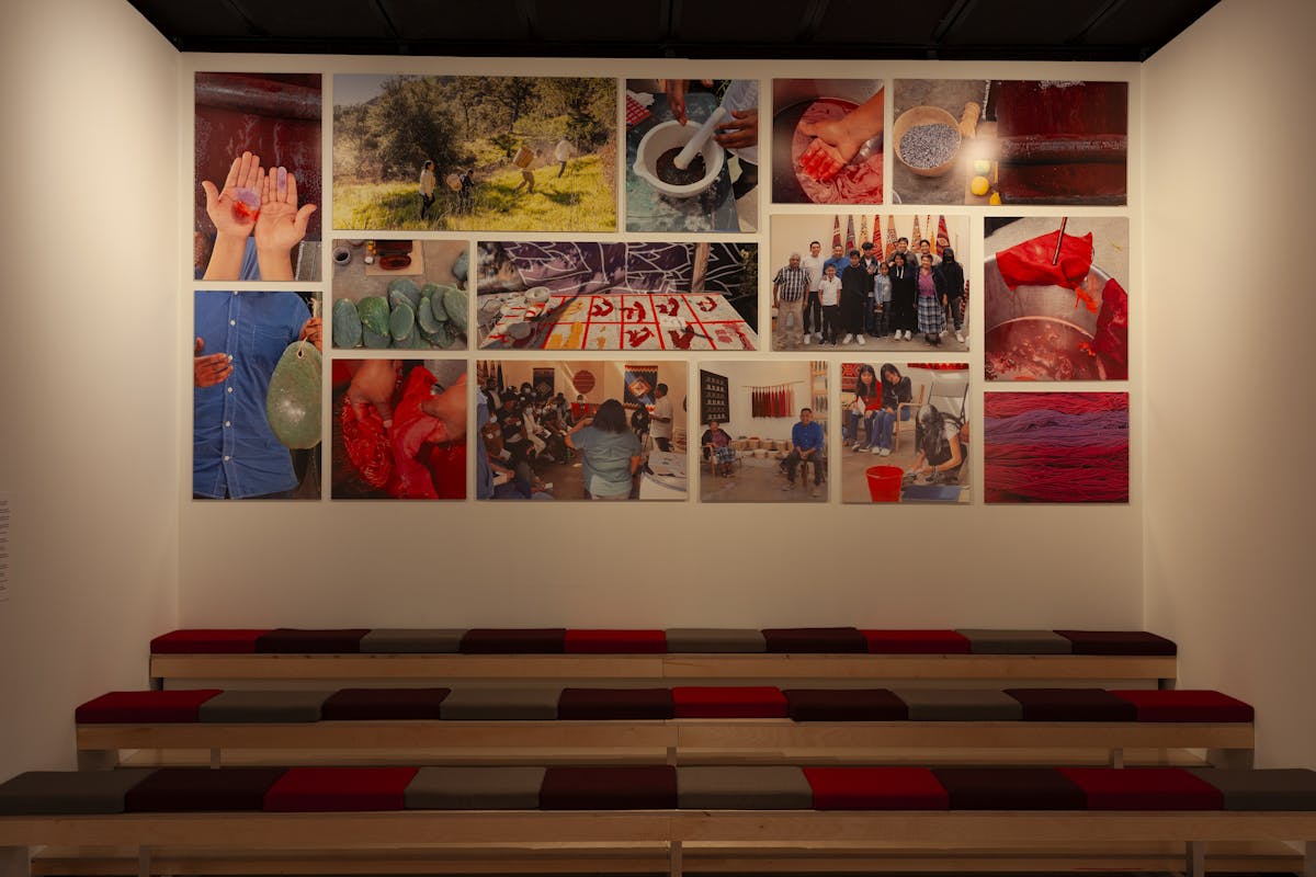 A series of colorful images on a wall above a row of benches in the Fowler Museum at UCLA