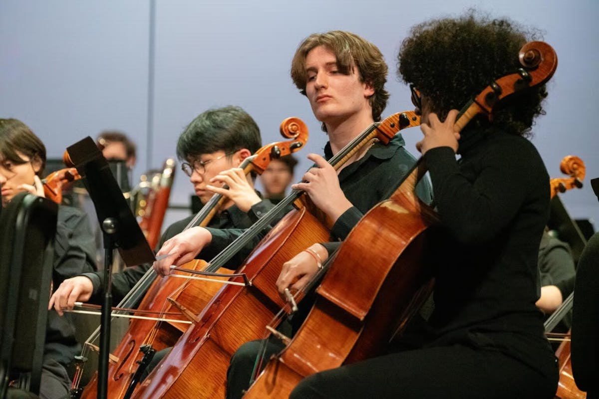 Cello section of orchestra