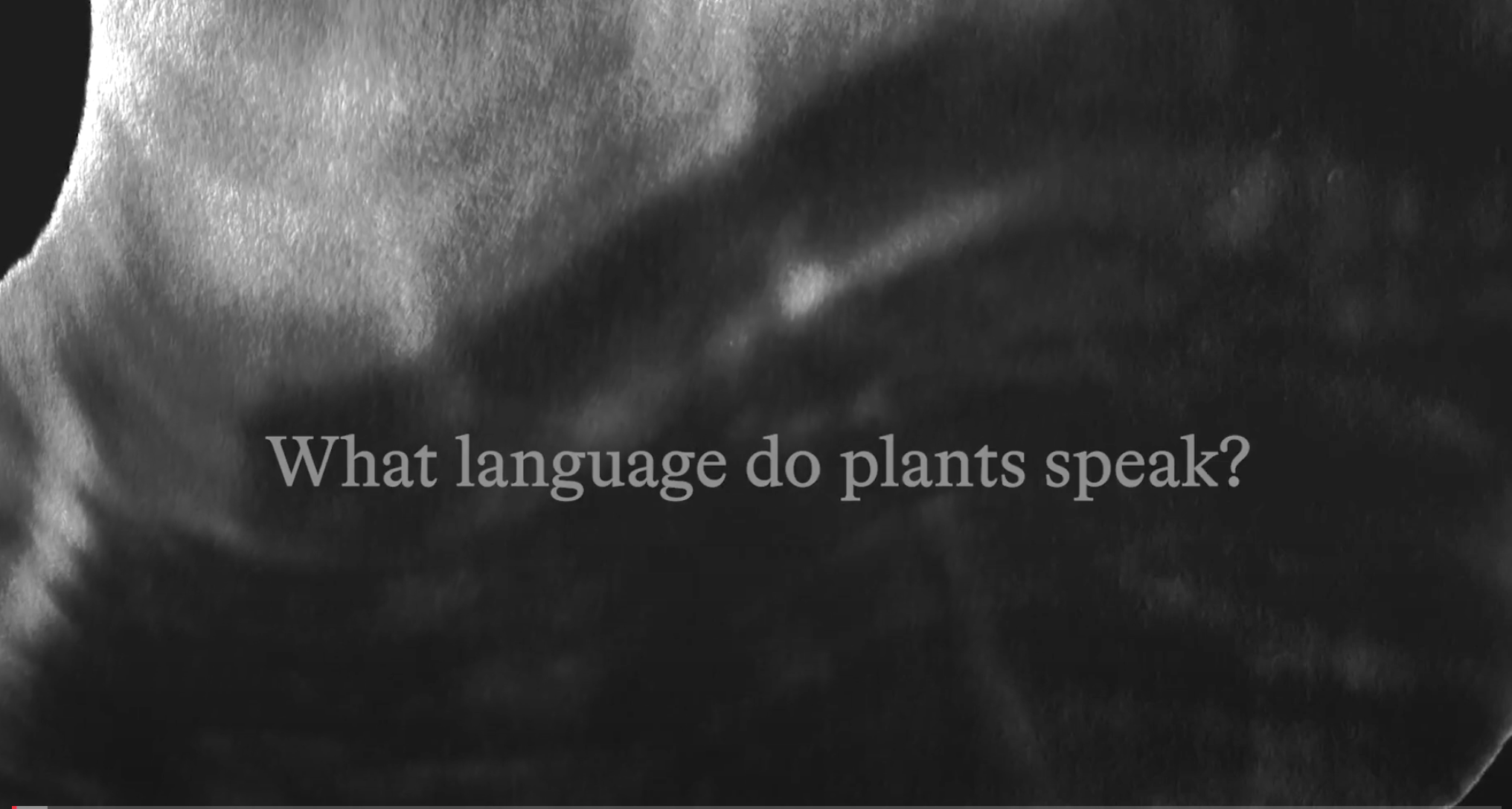 Words on a grey background read "What Language do Plants Speak?"