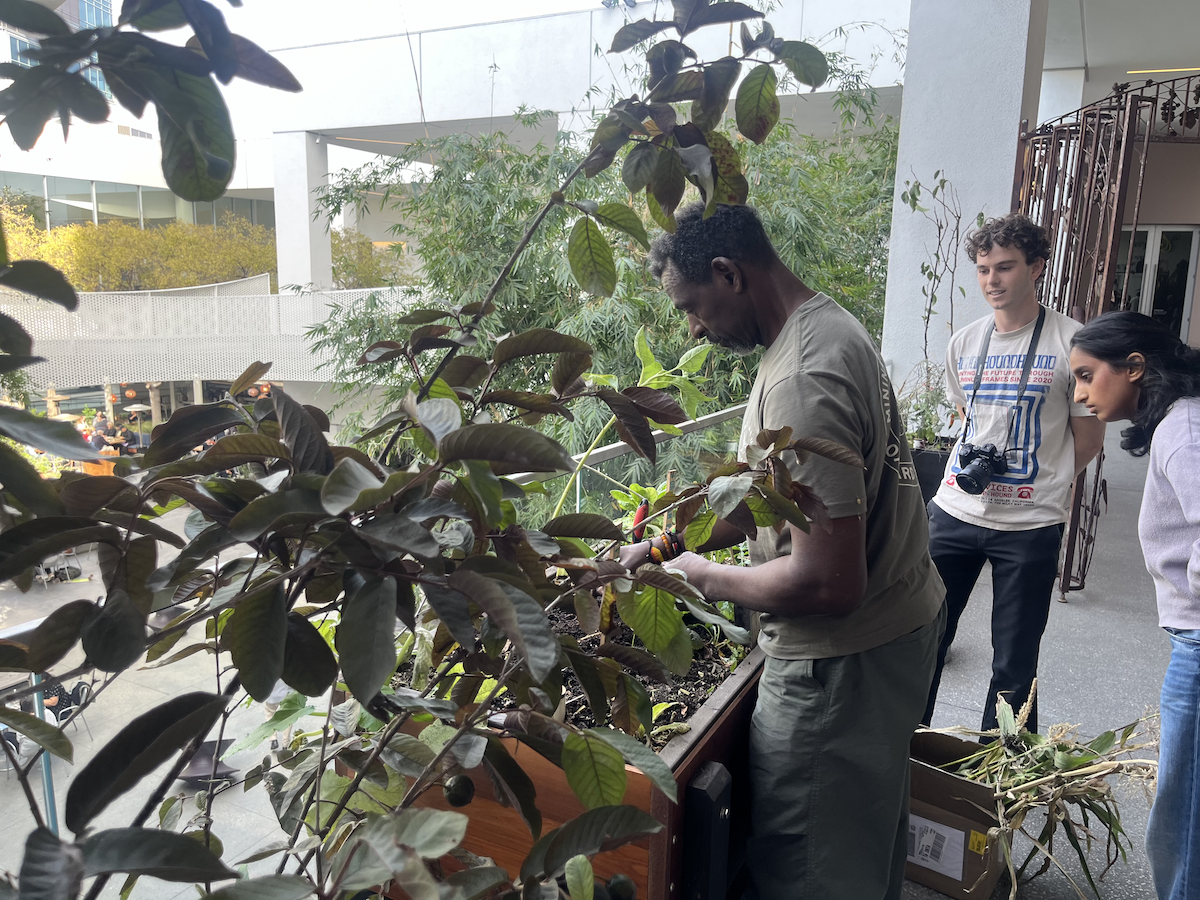 Artist and food justice activist Ron Finley plants seeds in his garden at the Hammer Museum while visitors look on.