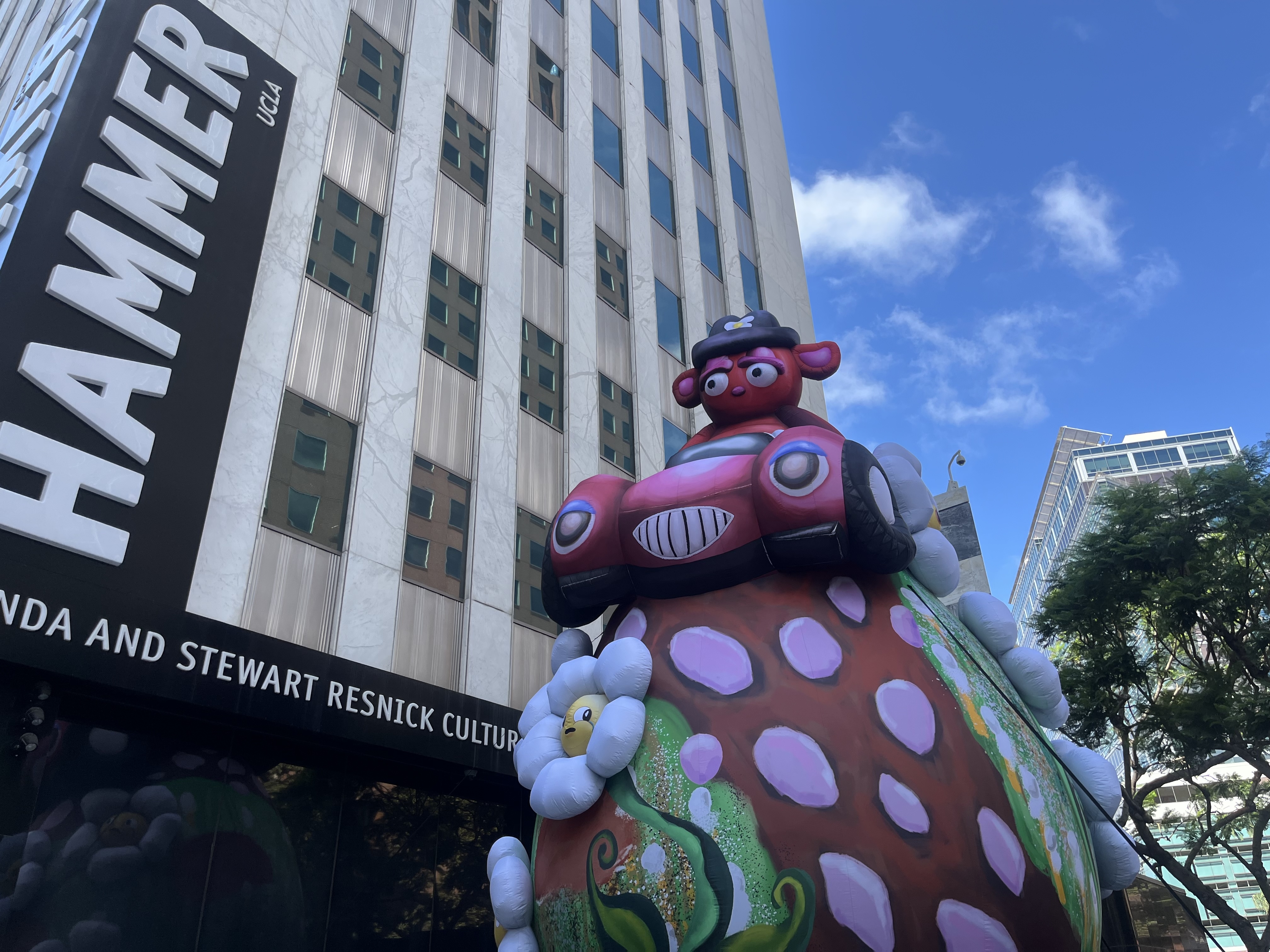 A 25-foot inflatable sculpture of a bright pink bear driving a bright pink car is mounted outside the Hammer Museum. 