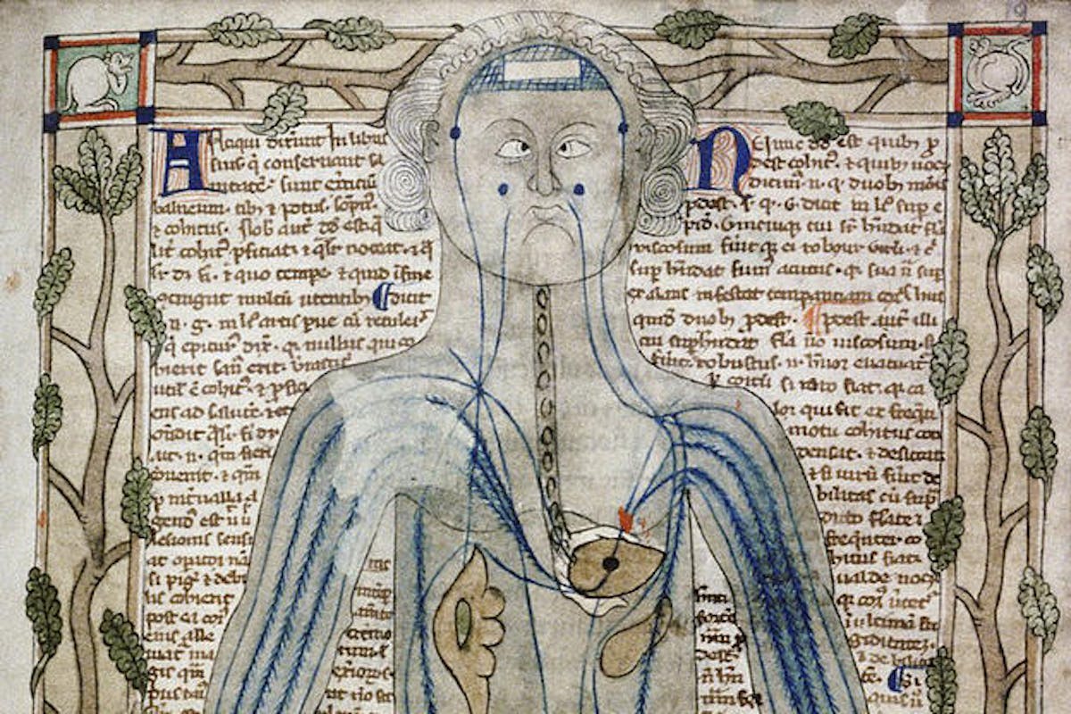 manuscript page with figure illustration of standing person showing organs including the heart