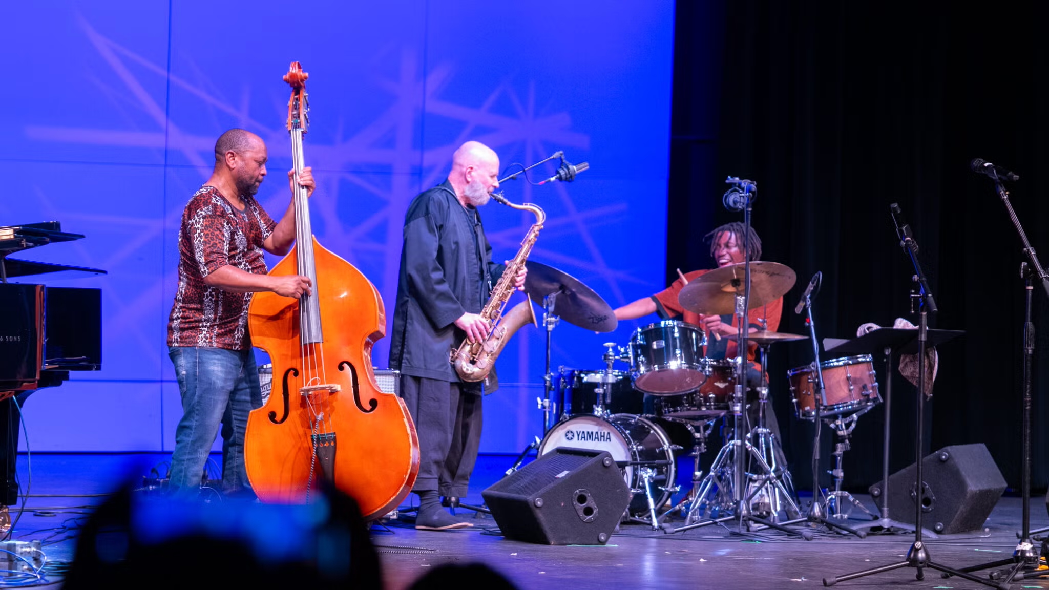 a jazz trio performs onstage