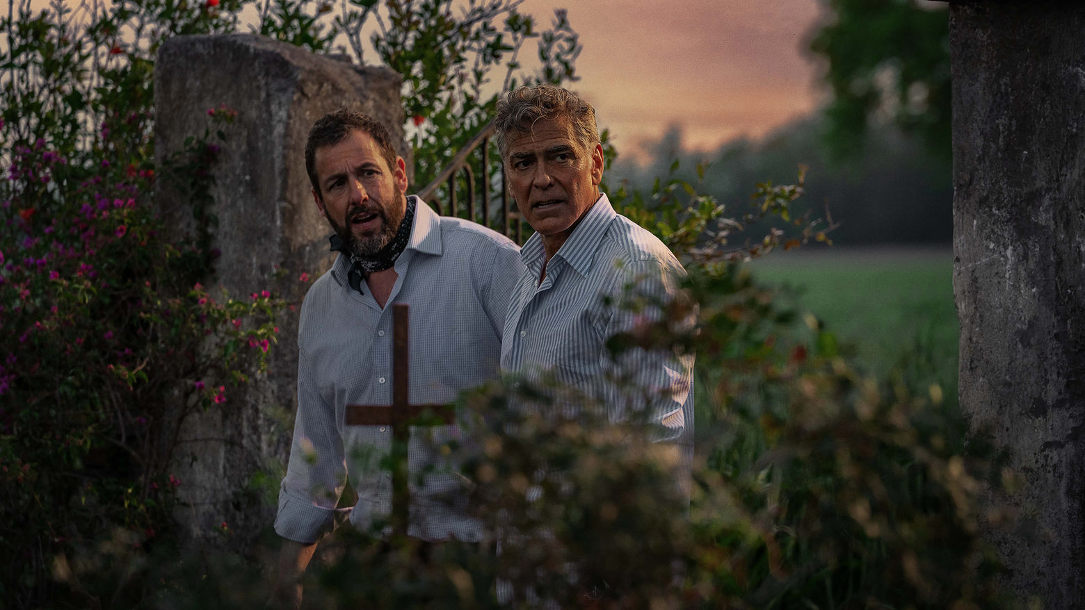 Two men standing in a garden with the sun setting behind them