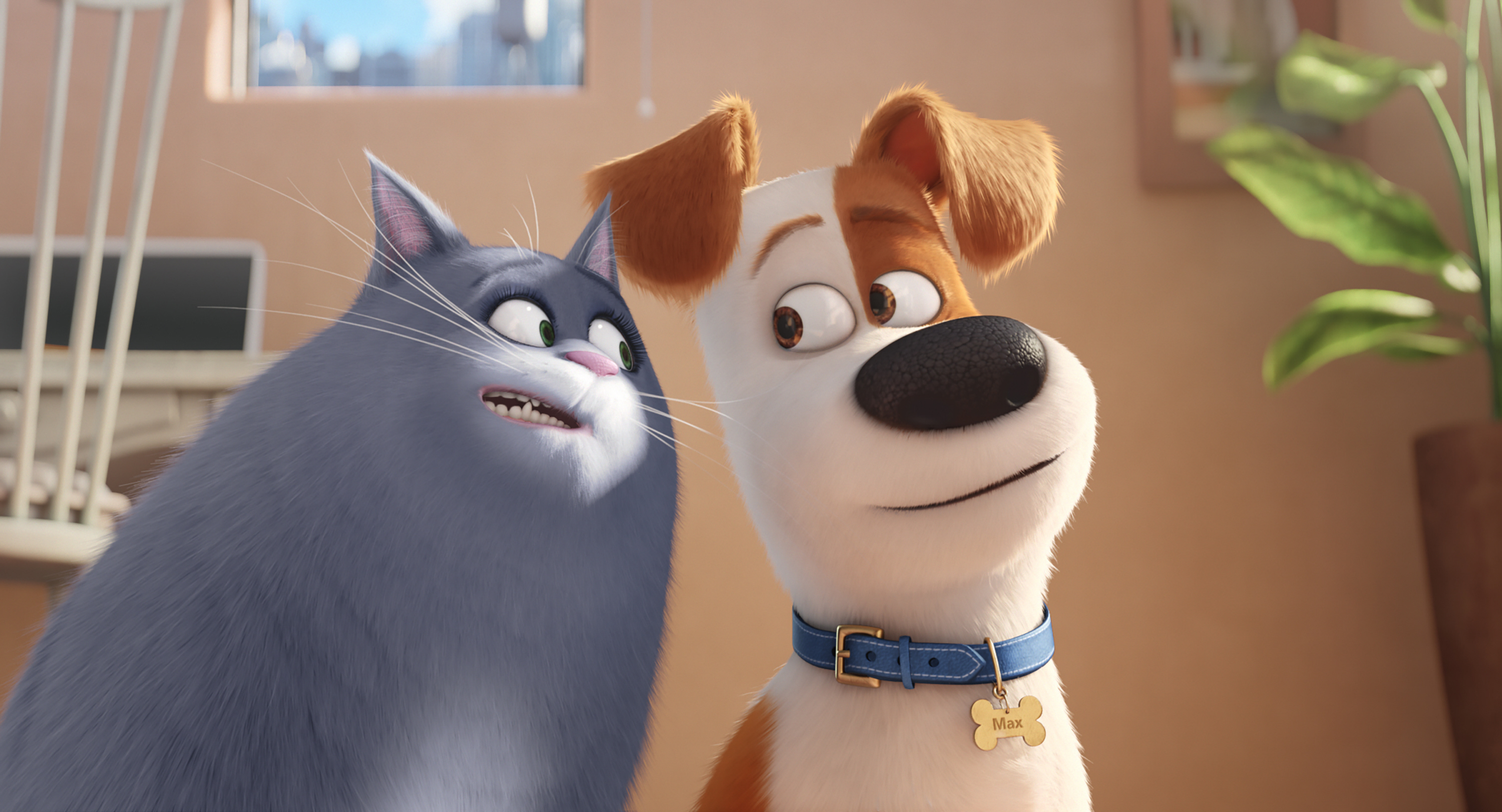 animated cat and dog