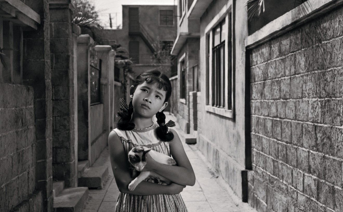 young girl holding a cat while standing between buildings