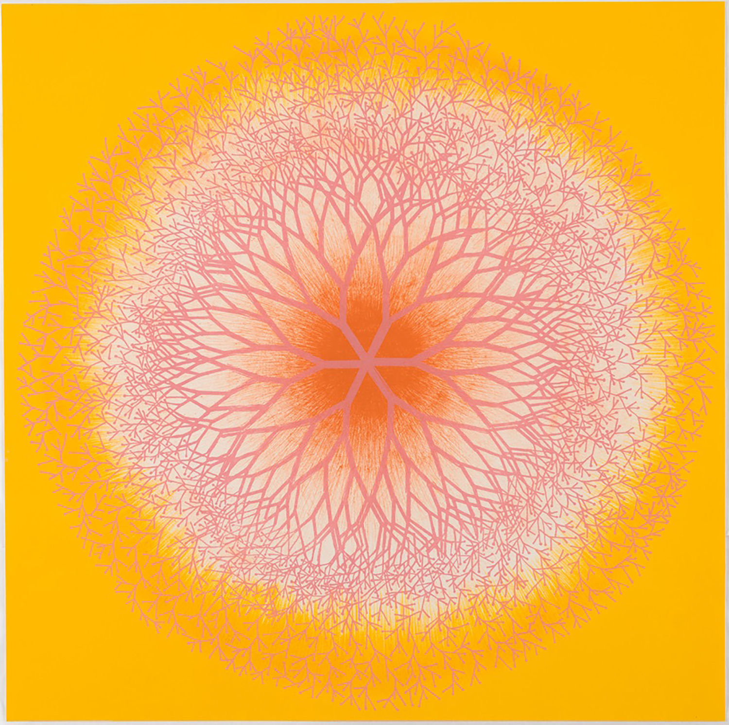 Detail view of the lithograph titled Desert Plant, pink spirals on an orange background.