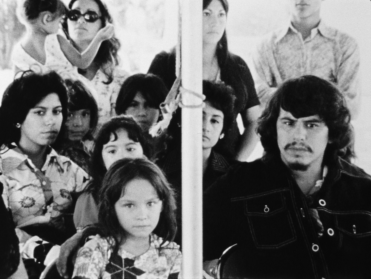 group of people looking into the camera