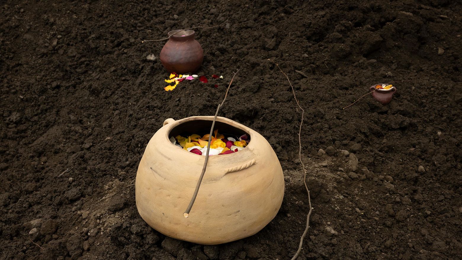 Several clay pots holding flowers nestled in an expanse of soil