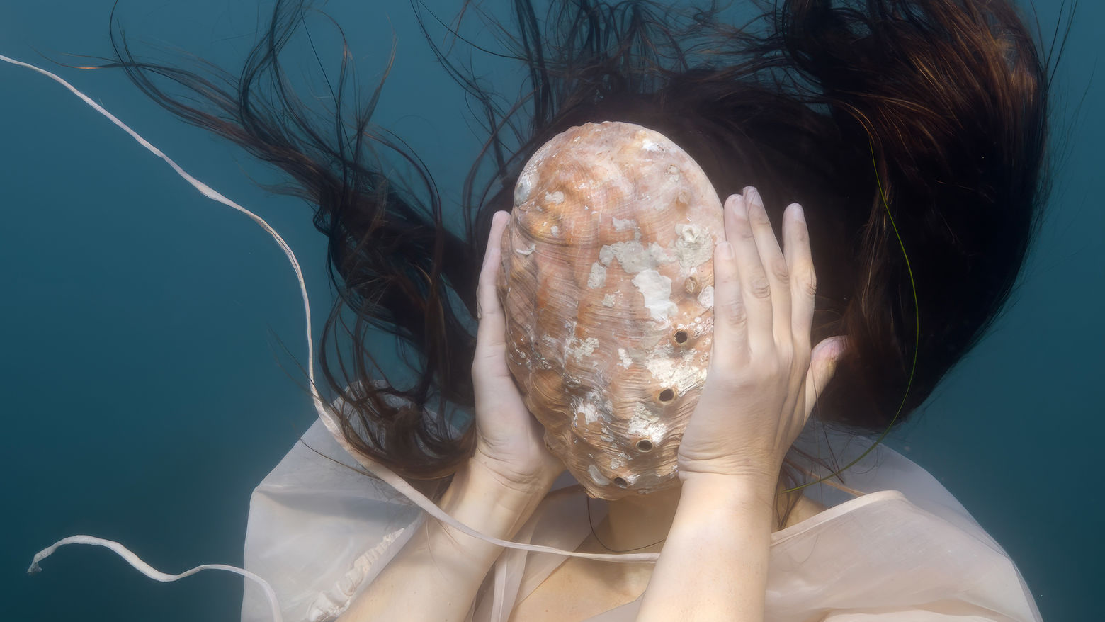 A woman underwater holds a conch shell in font of her face