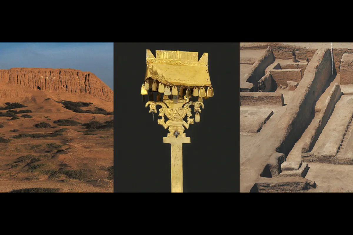Collage with three images from the Fowler collection