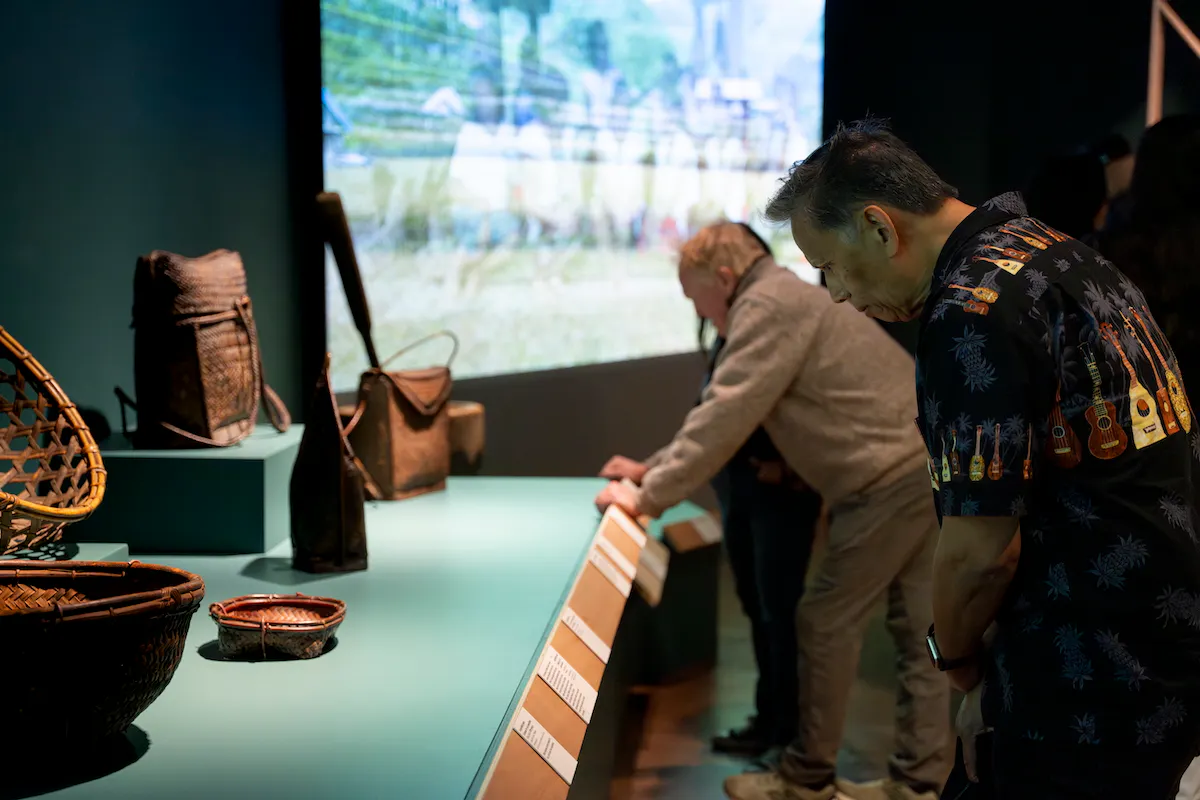 Visitors to the Fowler Museum view baskets and objects related to Ifugo rice terraces