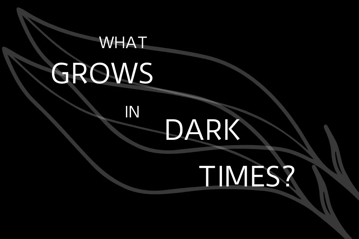 White words on a black background reading "what grows in dark times?