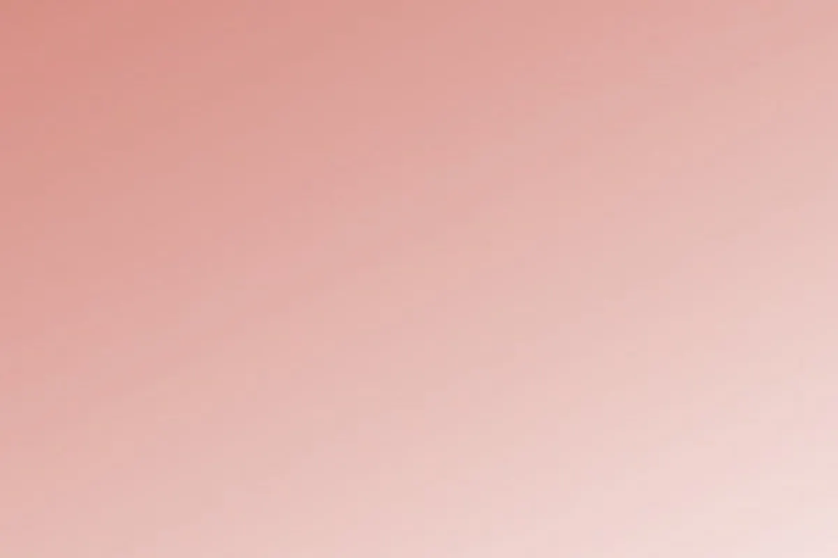 Solid pink graphic, no text