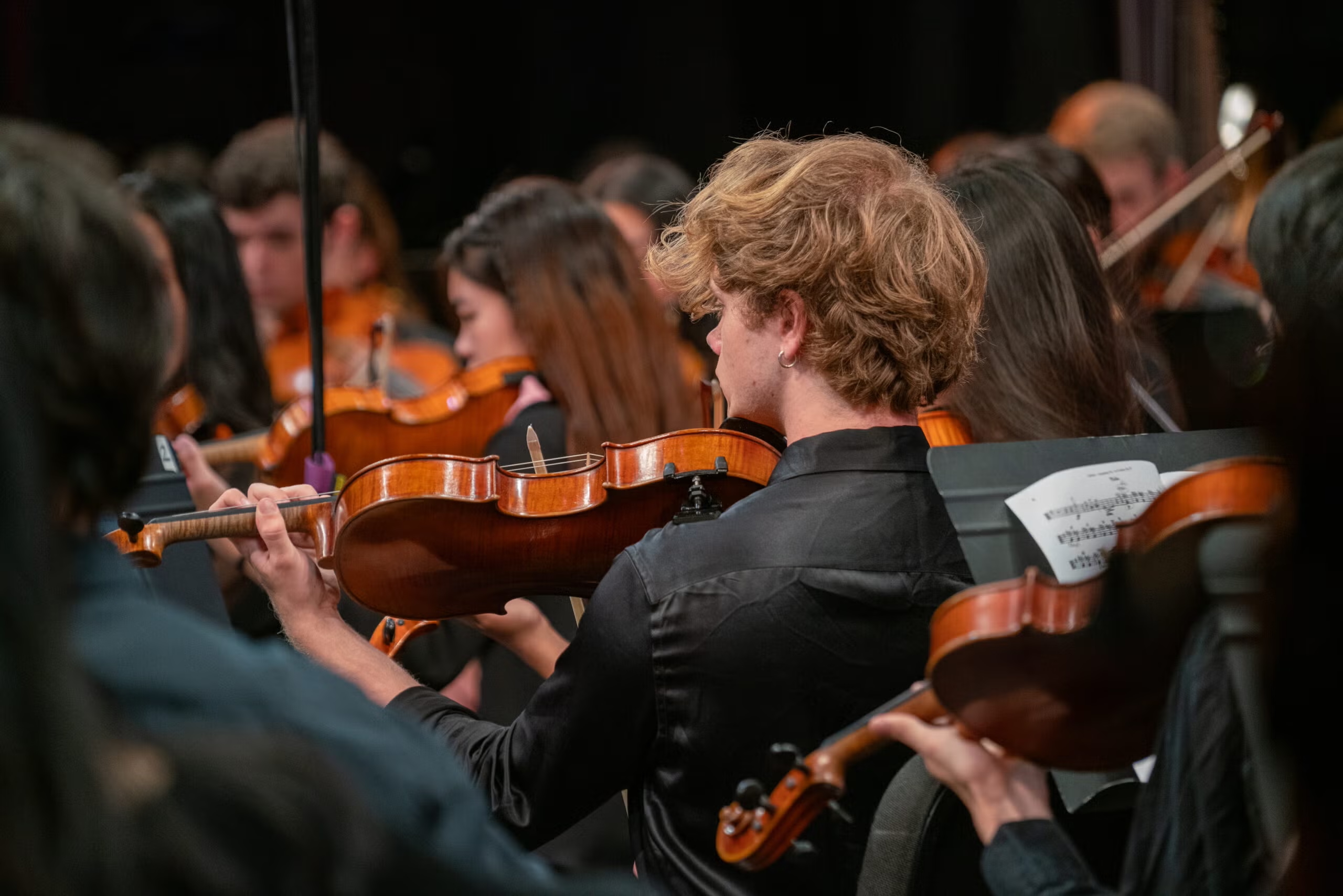 A group of violinists performing 